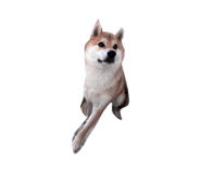 849876806