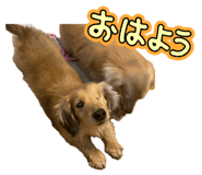 849876944