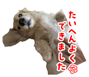 849876953