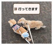 849876960