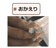 849876963