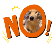 849876972