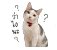 849881814