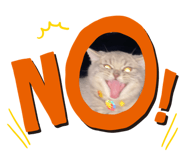 849884627