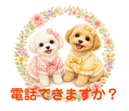 849888831