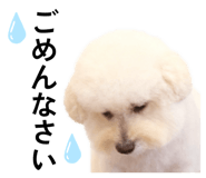 849889601
