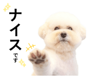 849889602