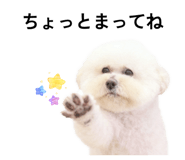 849889610