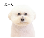 849889612