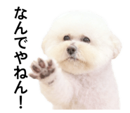 849889616