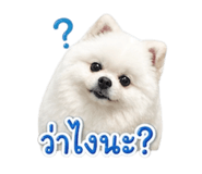 849893982