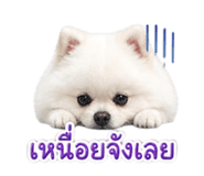 849893983