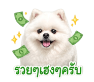 849893992