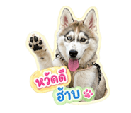 849895850