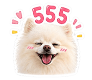 849896163
