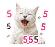 849896798