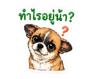 849900673
