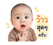 849902228
