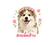 849902899