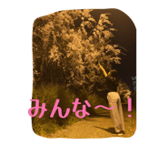 849905113