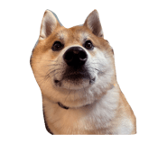 849905125