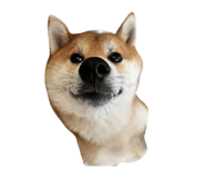 849905127