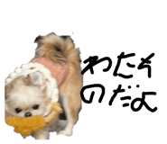 849906042