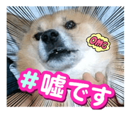 849907152
