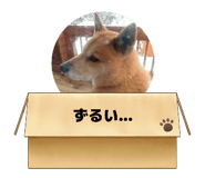 849907156