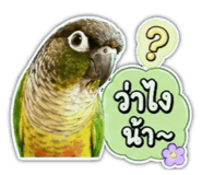 849912706