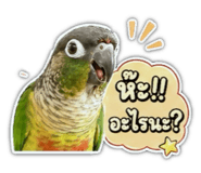 849912707