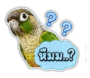 849912709