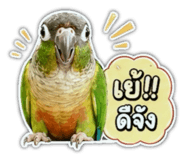 849912710