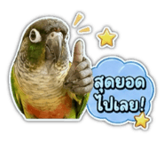 849912716