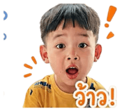 849915581