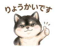 849924575