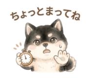 849924580