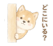 849924898