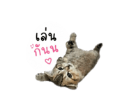 849929691