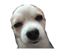 849938982