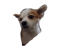 849938983