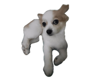 849938987
