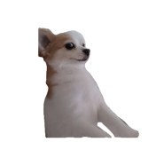 849938988