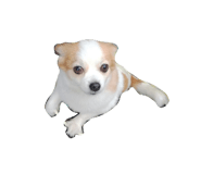 849938991