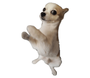 849938997