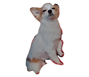 849938999