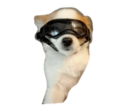 849939000