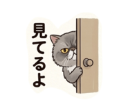 849942563