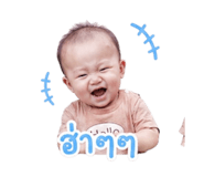 849949194