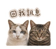 849957366